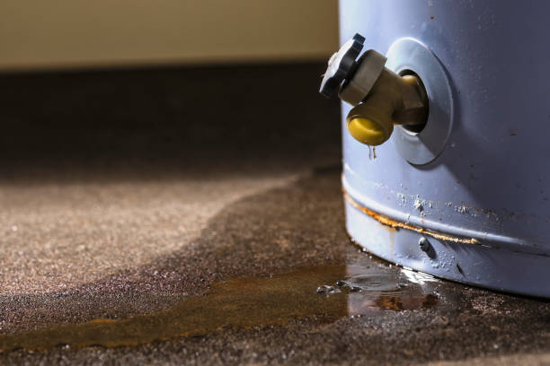 Best Carpet water damage restoration  in East Syracuse, NY