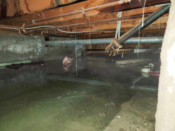 Best Fire Damage Restoration  in East Syracuse, NY