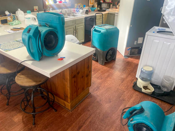 Best Sewage cleanup and water damage restoration  in East Syracuse, NY