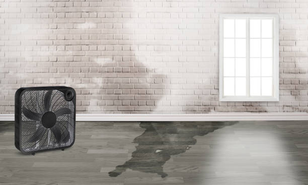 Best Local water damage restoration  in East Syracuse, NY