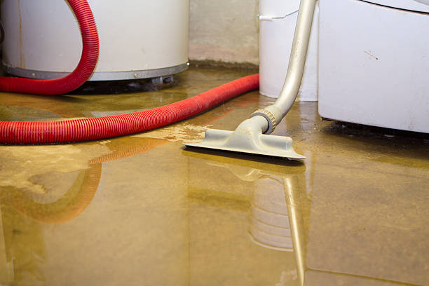Best Commercial water damage restoration  in East Syracuse, NY