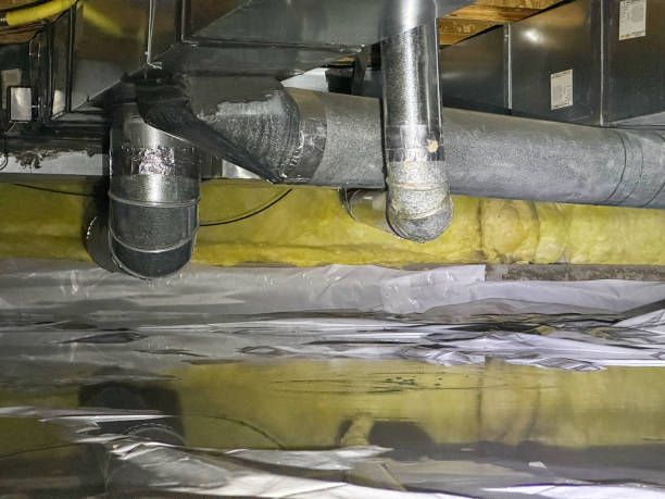 Best Professional water damage repair  in East Syracuse, NY