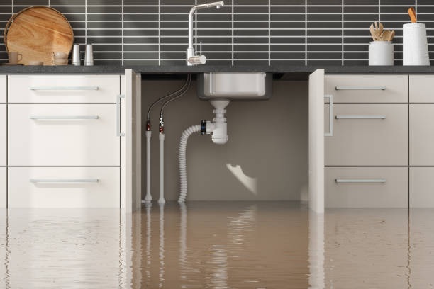 Best Flood restoration services  in East Syracuse, NY